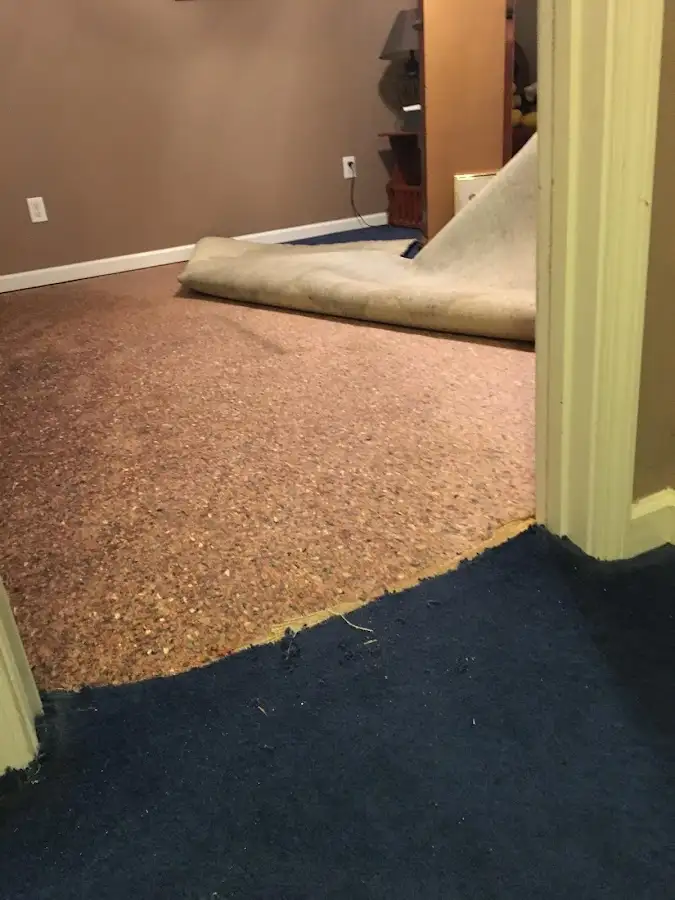 Carpet pad removal revealing water damage during Water Mitigation Services in Antigo