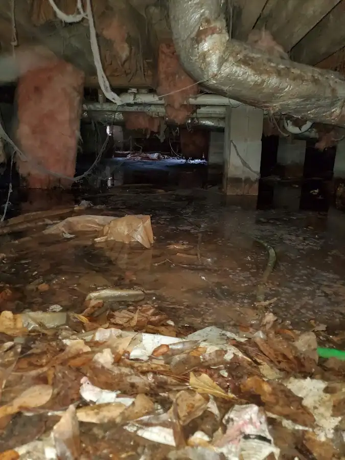 Crawl space flood assessment for Leak Detection & Repair in Antigo
