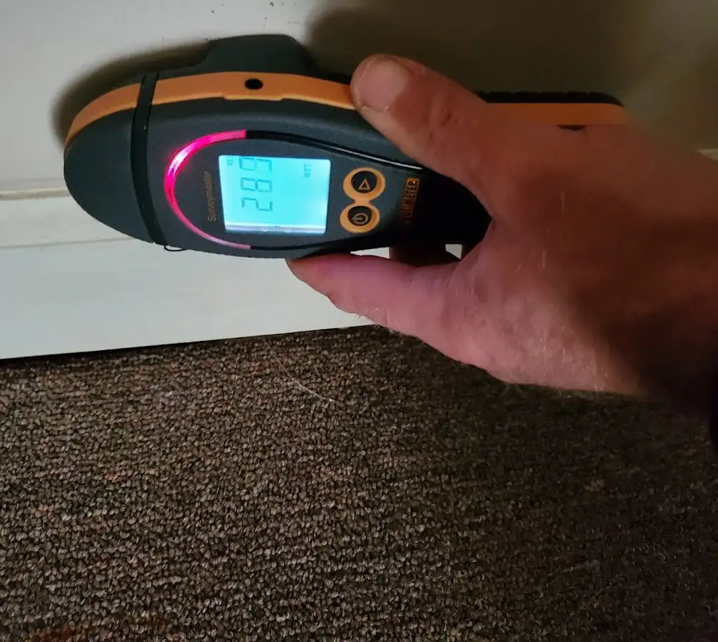 Moisture detection at baseboard during Mold Inspection & Testing in Antigo